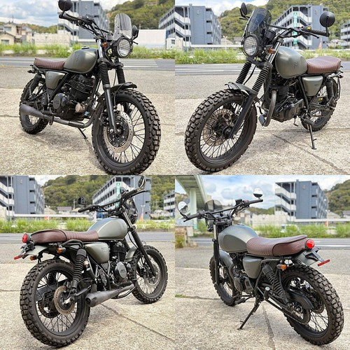 ZEXT Mastiff 250 OEM Front Fork Set 186F02