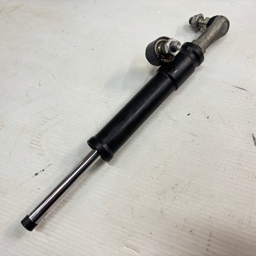 BMW S1000RR Steering Damper 104EA WB1053407DZL170