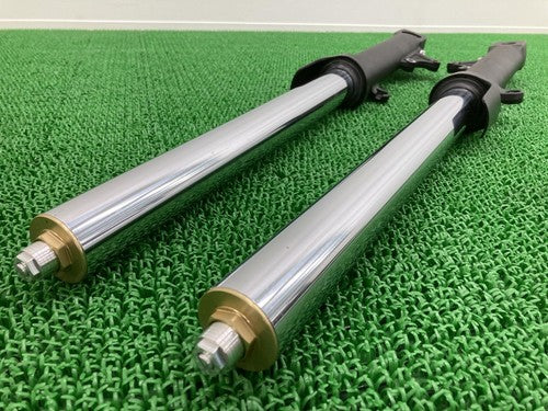 Kawasaki ZRX1200 Daeg Front Fork Suspension Left Right K5971