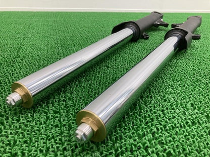 Kawasaki ZRX1200 Daeg Front Fork Suspension Left Right K5971