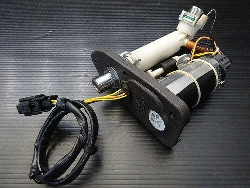 Harley-Davidson Sportster XL1200L-I Fuel Pump 2010 CX3