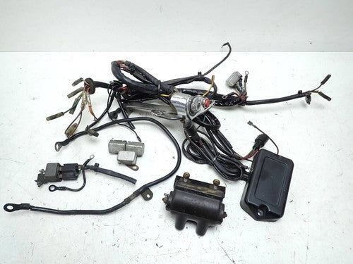 Harley-Davidson XLH1000 Igniter Ignition Coil Condenser ECU