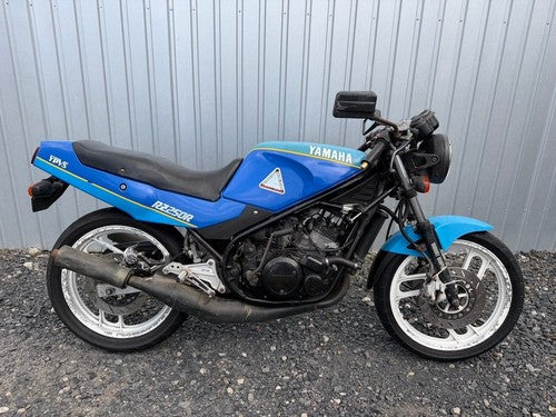 Yamaha RZ250R 35mm Front Fork Suspension 29L