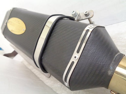 ARuz KTM 1290 Super Adventure Slip-On Exhaust Muffler Carbon 15-21