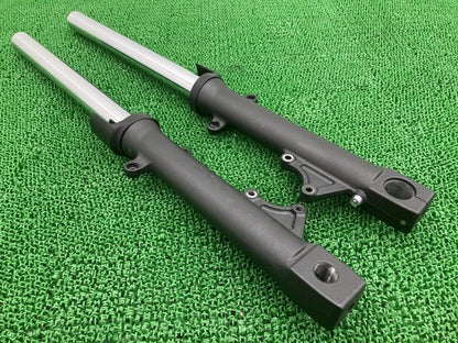 Kawasaki ZRX1200 Daeg Front Fork Suspension Left Right K5971