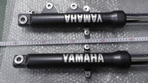 Yamaha FZ25 ME1RG426AK0008 Front Fork Suspension