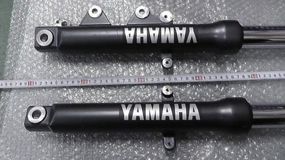 Yamaha FZ25 ME1RG426AK0008 Front Fork Suspension