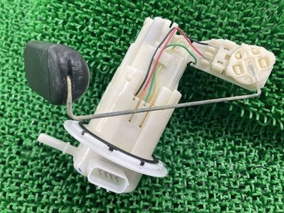 Honda CRF300L Fuel Pump 11021A13 FP26B041A OEM