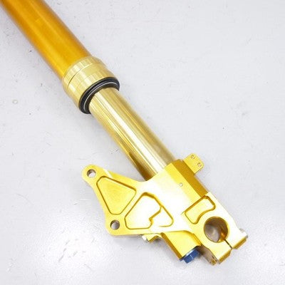 Bimota SB8K 1999 Genuine OEM Front Fork Left Inverted Shock Paioli 56mm