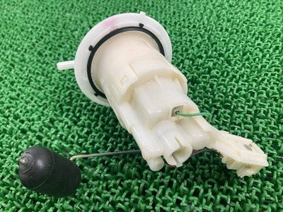Honda CRF300L Fuel Pump 11021A13 FP26B041A OEM