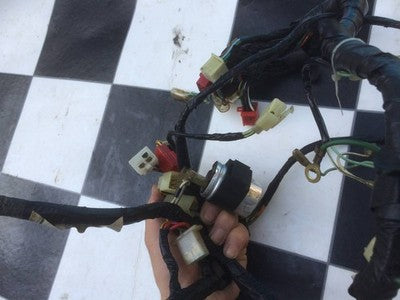 Honda CB900F Main Wiring Harness