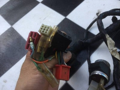Honda CB900F Main Wiring Harness