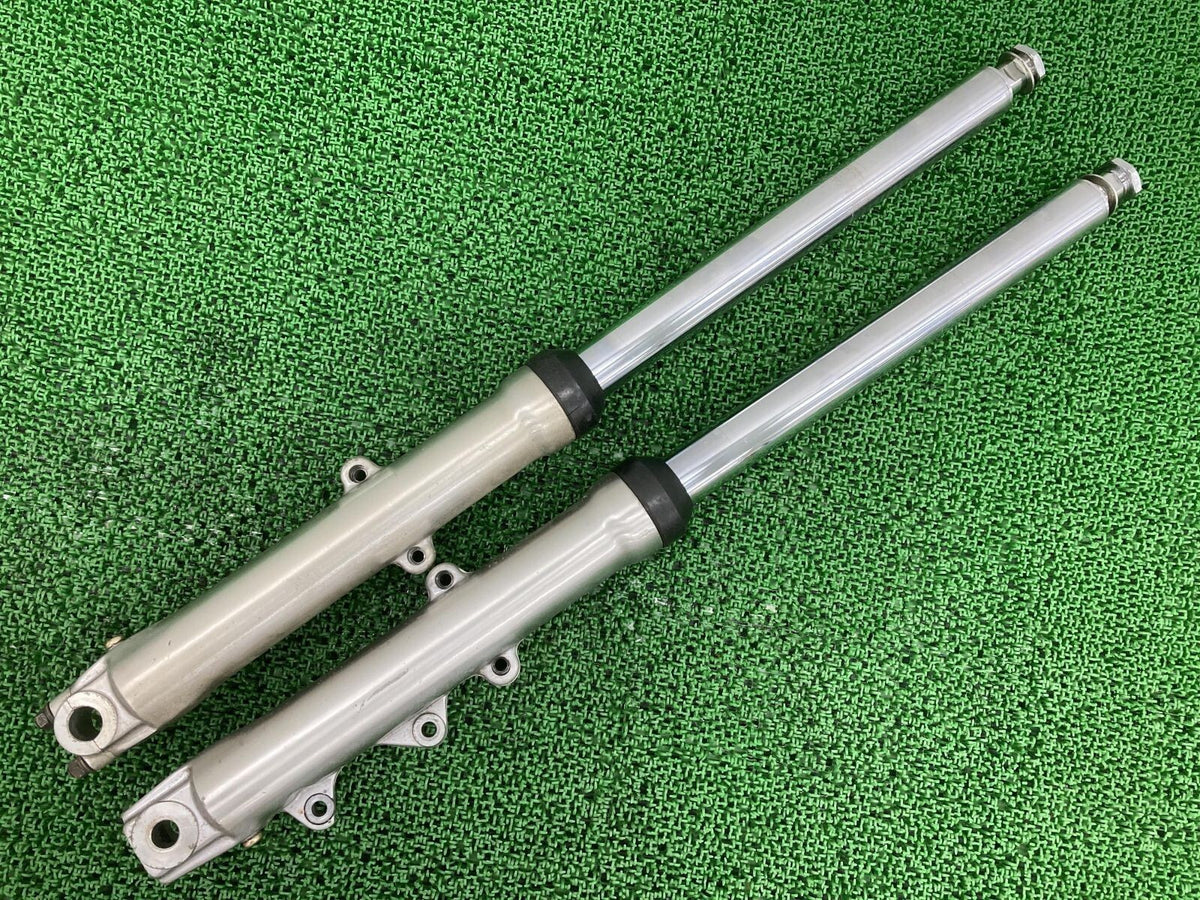 Genuine Harley-Davidson Softail Front Fork 41mm