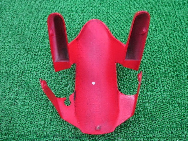 Ducati 999S 2003-2006 Front Fender Genuine OEM