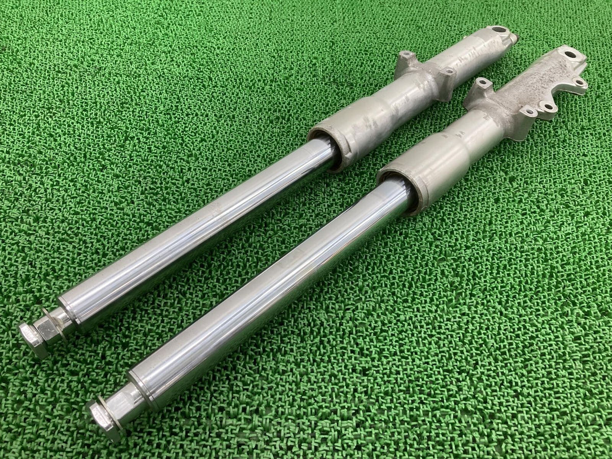 Genuine Harley-Davidson Softail Front Fork 41mm