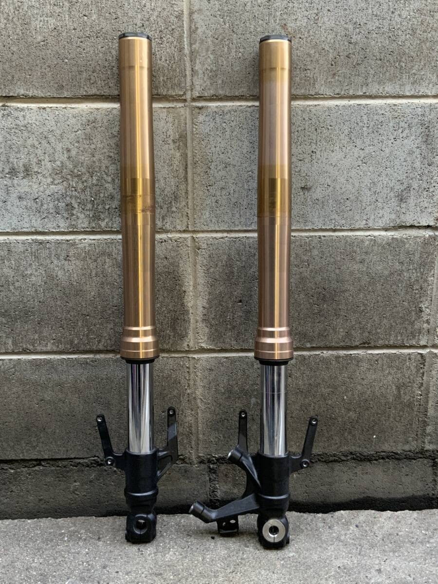 Honda CB250R ABS MC52 SHOWA SFF-BP Front Fork Suspension