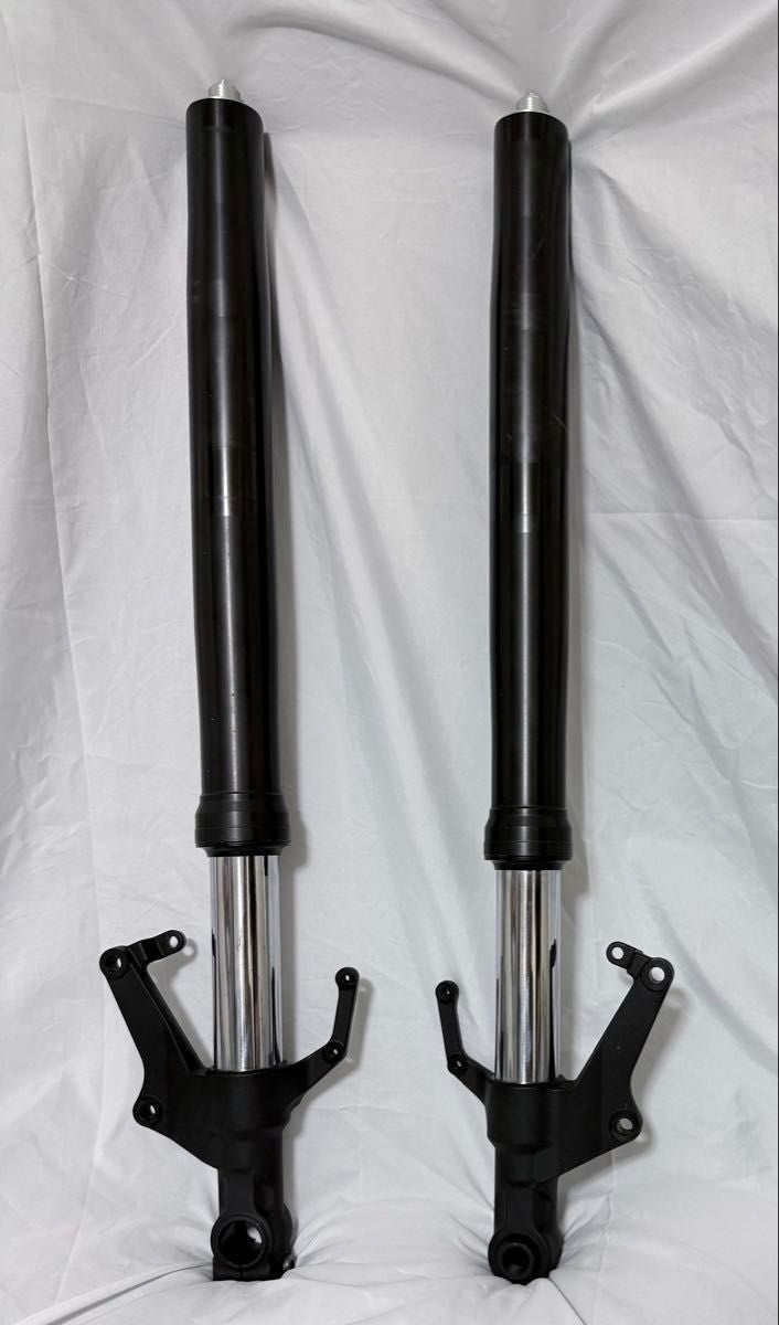 Yamaha FZ1 2008 Front Forks