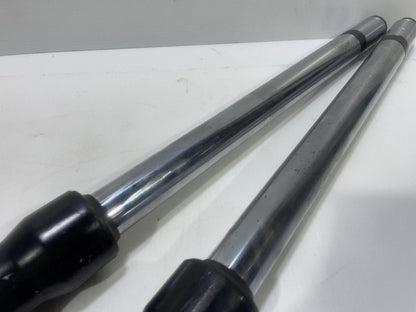 Genuine Honda CBX750F RC17 Genuine front fork set
