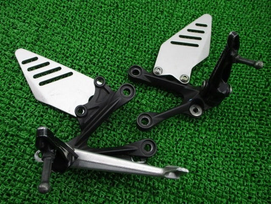 Kawasaki Ninja ZX-6R 2013-2017 Footrest Holder Step Bracket Genuine OEM