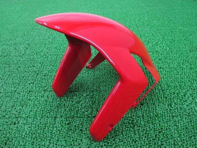 Ducati 999S 2003-2006 Front Fender Genuine OEM