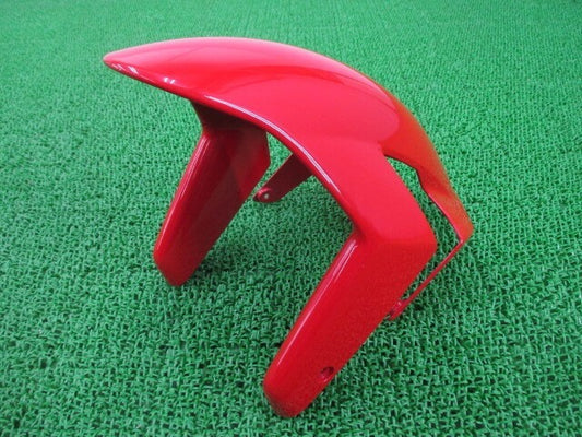 Ducati 999S 2003-2006 Front Fender Genuine OEM