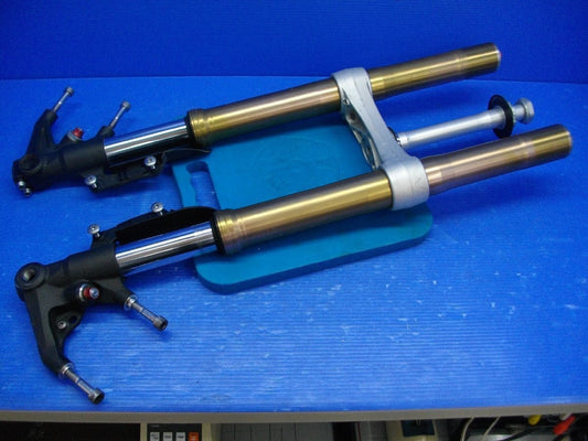 Triumph Daytona 675 2006–2016 Front Fork Suspension Genuine OEM