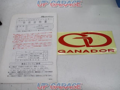 GANADOR Aero Mirror Carbon Black for Nissan Skyline R34 2Dr