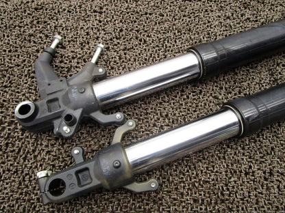 KTM 250 Duke Front Fork