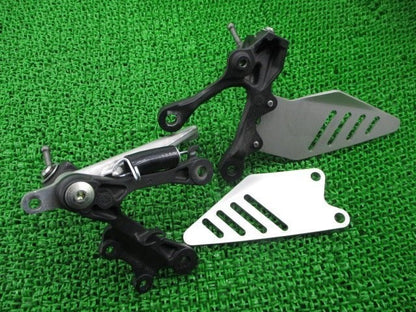 Kawasaki Ninja ZX-6R 2013-2017 Footrest Holder Step Bracket Genuine OEM