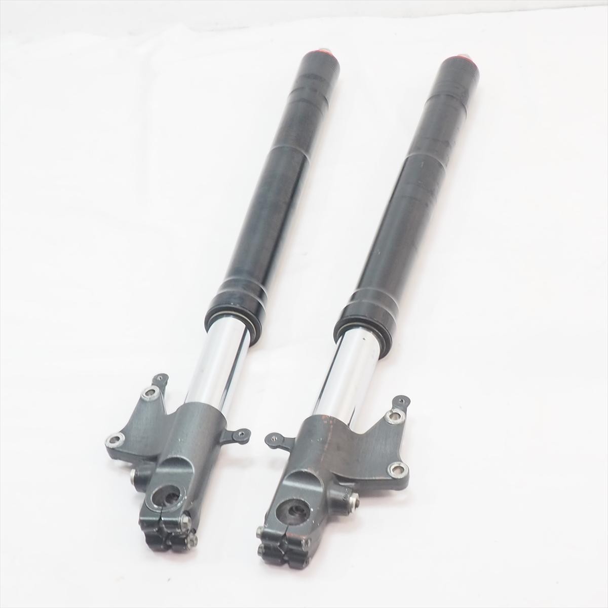 Aprilia RSV Mille 1999 Front Fork Suspension Genuine OEM