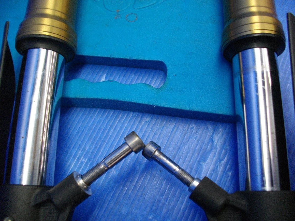 Triumph Daytona 675 2006–2016 Front Fork Suspension Genuine OEM