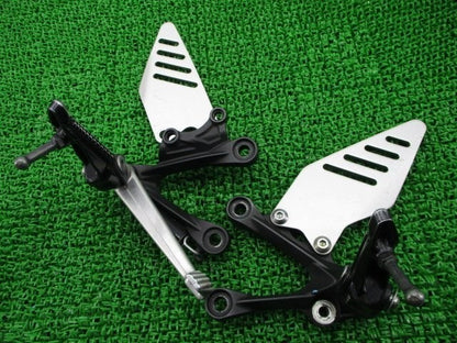 Kawasaki Ninja ZX-6R 2013-2017 Footrest Holder Step Bracket Genuine OEM