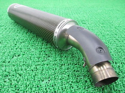 Termignoni Silencer Muffler for Ducati 1199 Panigale S R