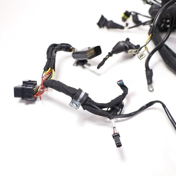 Ducati Streetfighter S 1098 2009-2012 Main Wiring Harness Genuine OEM