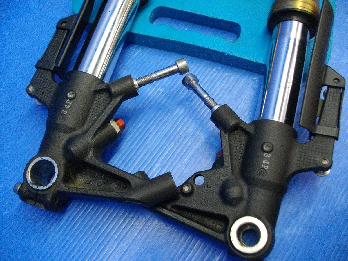 Triumph Daytona 675 2006–2016 Front Fork Suspension Genuine OEM