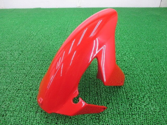 Ducati 999S 2003-2006 Front Fender Genuine OEM