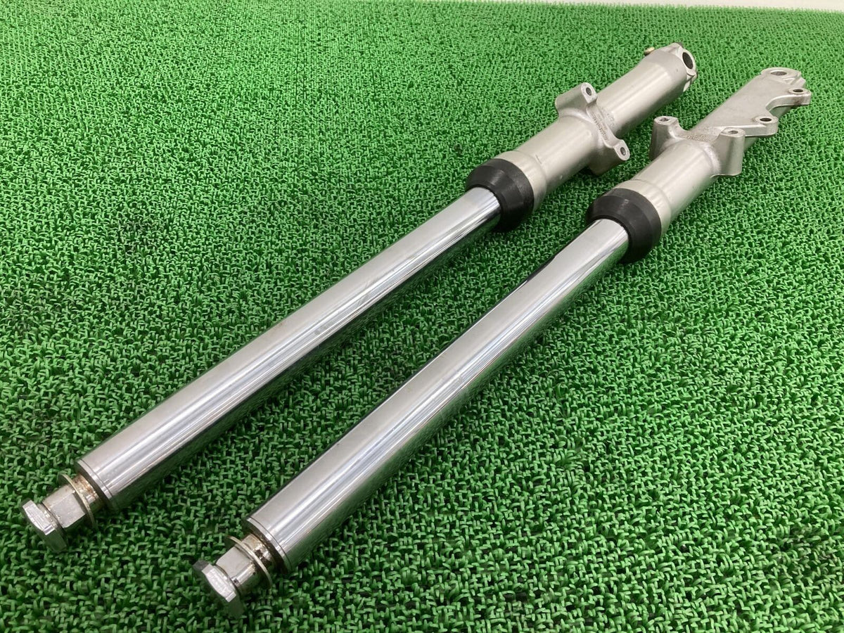 Genuine Harley-Davidson Softail Front Fork 41mm