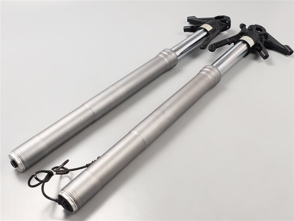 Ducati Multistrada 1200S Pikes Peak 2013 Front Fork Suspension DSS Genuine OEM