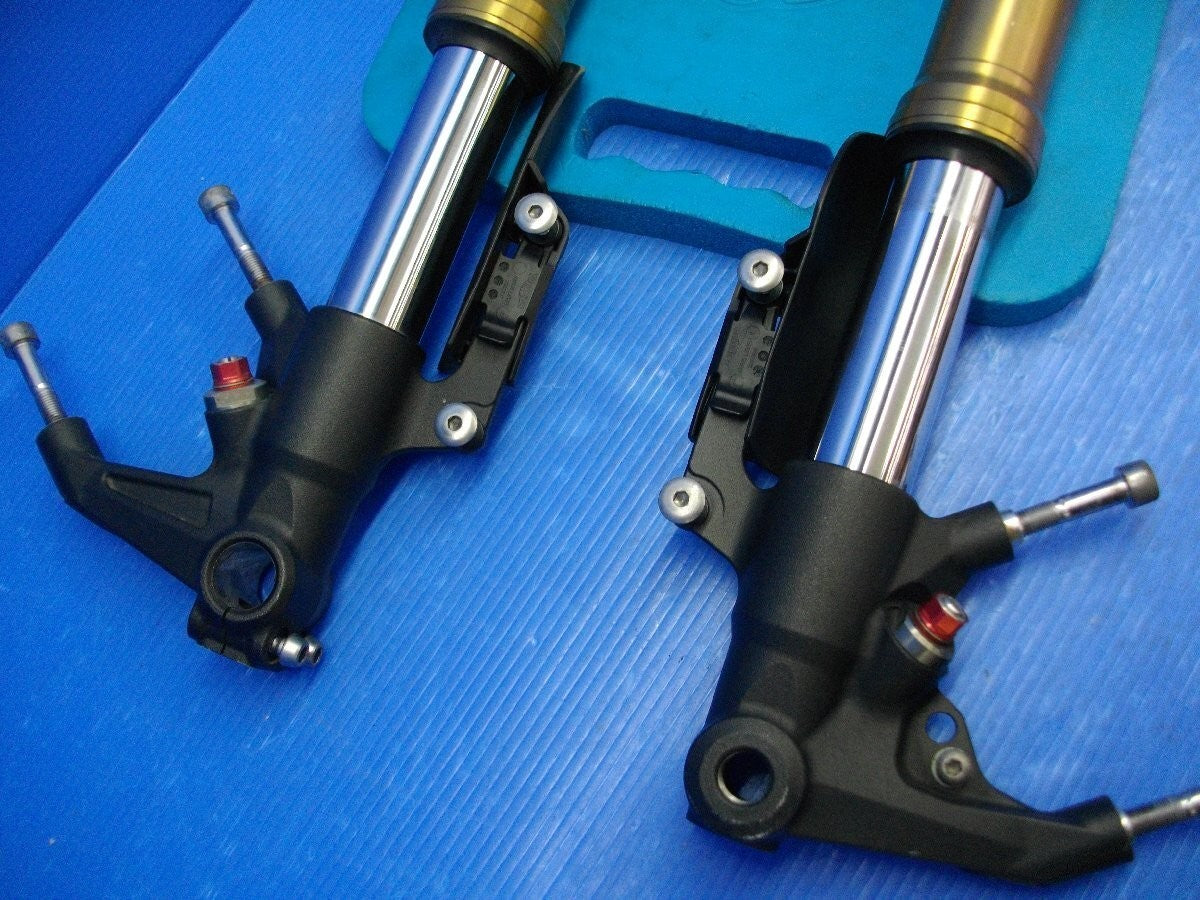 Triumph Daytona 675 2006–2016 Front Fork Suspension Genuine OEM