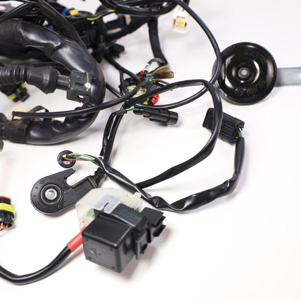 Ducati Streetfighter S 1098 2009-2012 Main Wiring Harness Genuine OEM