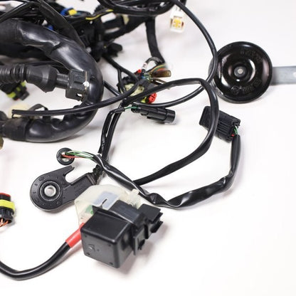 Ducati Streetfighter S 1098 2009-2012 Main Wiring Harness Genuine OEM