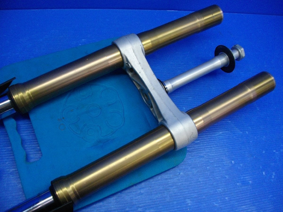Triumph Daytona 675 2006–2016 Front Fork Suspension Genuine OEM