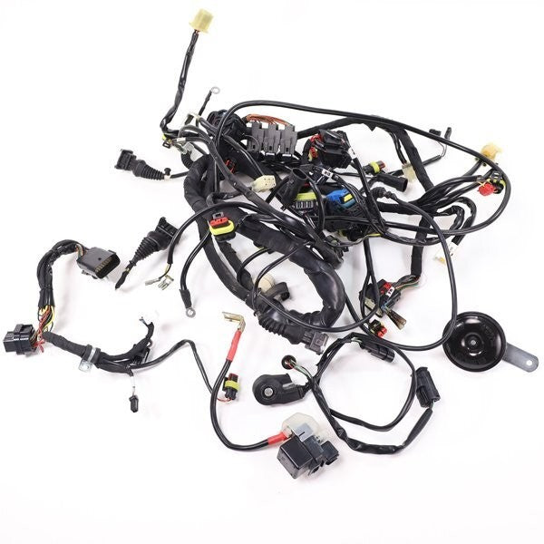 Ducati Streetfighter S 1098 2009-2012 Main Wiring Harness Genuine OEM