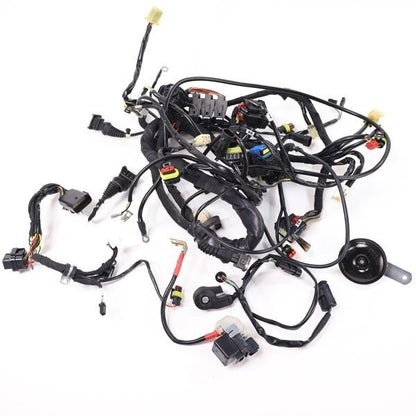 Ducati Streetfighter S 1098 2009-2012 Main Wiring Harness Genuine OEM