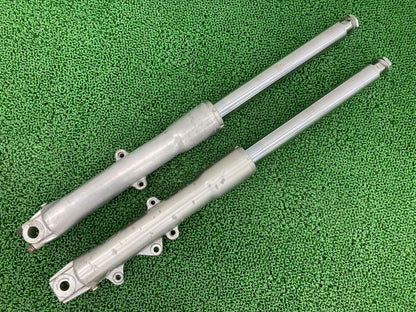Genuine Harley-Davidson Softail Front Fork 41mm