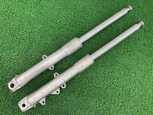Genuine Harley-Davidson Softail Front Fork 41mm